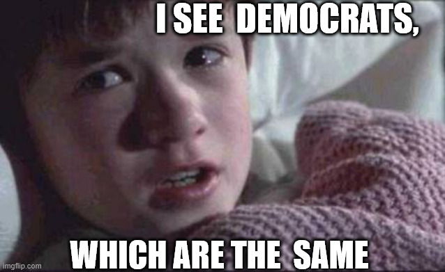 since  more   than  60% of folks that   Vote   democrat  are  long   deceased. | I SEE  DEMOCRATS, WHICH ARE THE  SAME | image tagged in memes,i see dead people,democrats,dead people,sixth sense,which same the   are | made w/ Imgflip meme maker