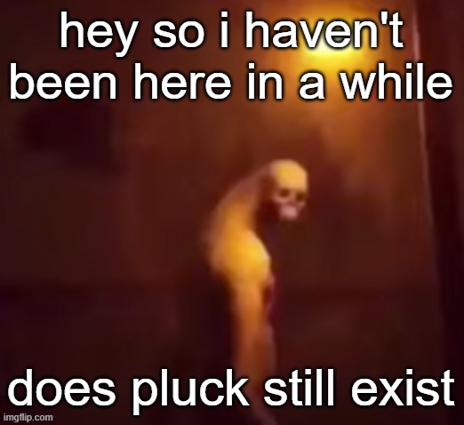 Your IP Address Is On The Internet | hey so i haven't been here in a while; does pluck still exist | image tagged in your ip address is on the internet | made w/ Imgflip meme maker