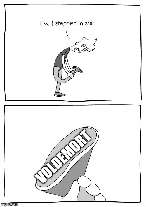 Ew, i stepped in shit | VOLDEMORT | image tagged in ew i stepped in shit | made w/ Imgflip meme maker