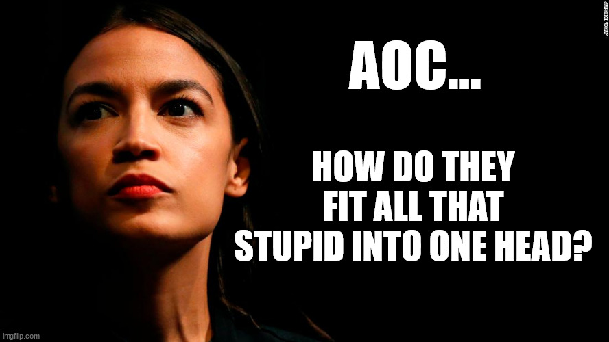 AOC... Or Einstein? | AOC... HOW DO THEY FIT ALL THAT STUPID INTO ONE HEAD? | image tagged in memes,aoc,trump,democrat,stupid,einstein | made w/ Imgflip meme maker