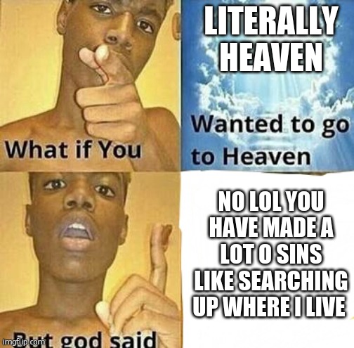 no lol | LITERALLY HEAVEN; NO LOL YOU HAVE MADE A LOT O SINS LIKE SEARCHING UP WHERE I LIVE | image tagged in what if you wanted to go to heaven | made w/ Imgflip meme maker