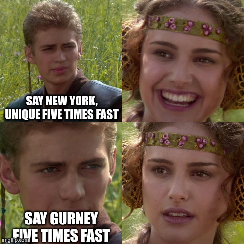 tongue twisters | SAY NEW YORK, UNIQUE FIVE TIMES FAST; SAY GURNEY FIVE TIMES FAST | image tagged in anakin padme 4 panel | made w/ Imgflip meme maker