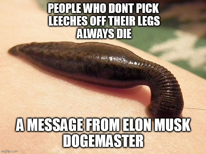 IT'S YOUR BLOOD, YOU DECIDE... | PEOPLE WHO DONT PICK
 LEECHES OFF THEIR LEGS
 ALWAYS DIE; A MESSAGE FROM ELON MUSK
DOGEMASTER | image tagged in parasite,elon musk,trump,common sense | made w/ Imgflip meme maker