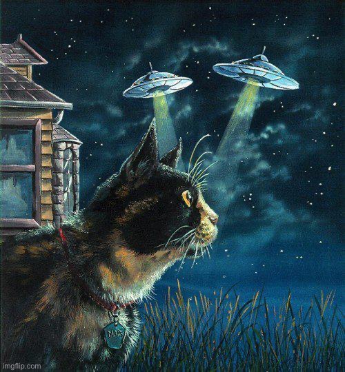 Cats see the strangest things at night… | made w/ Imgflip meme maker