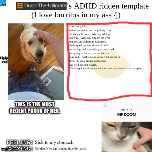 I need to vent a bit. I’m probably not gonna show up to school tomorrow. I don’t feel right in the head. She was just a puppy. | I need to get this out of my system, so I’m putting it out for the public to see. My dog, Mellow, she was 1 years old. She got ran over tonight. My dad had to rush her to the hospital because she swallowed something, and when she got treated and was going to the car, she ran into the road and… well you can guess what happened then. The man driving apologized and tried his best to help.
The thing that sickens me the most was that she was only a puppy. THIS IS THE MOST RECENT PHOTO OF HER. Sick to my stomach. Nothing. Now isn’t a good time for music. | image tagged in ducc-the-ultimate's adhd ridden template | made w/ Imgflip meme maker