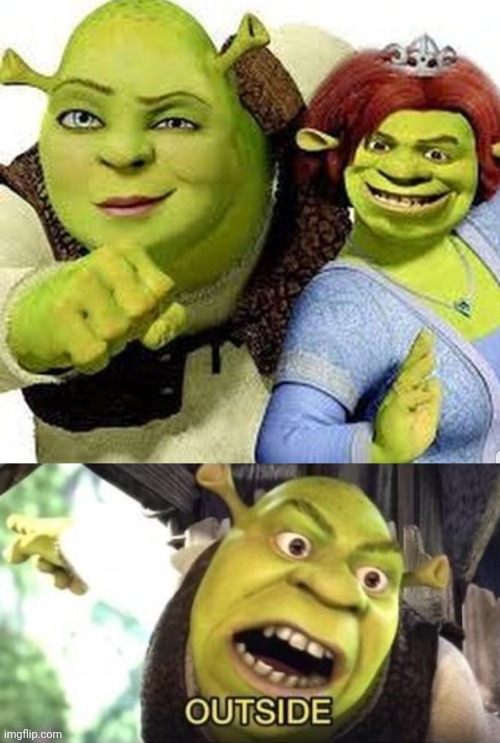 Shrek and Fiona face swap | image tagged in outside,shrek,fiona,cursed image,memes,face swap | made w/ Imgflip meme maker