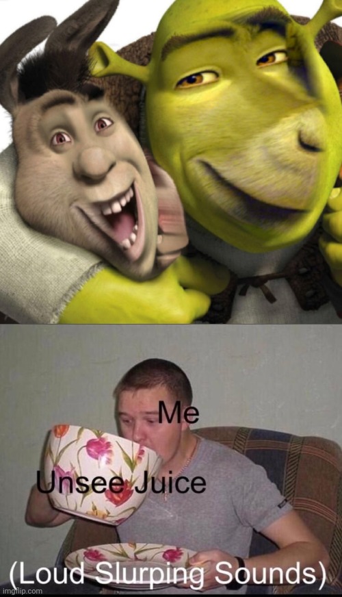 Donkey and Shrek | image tagged in loud slurping sounds,donkey,shrek,memes,cursed image,cursed | made w/ Imgflip meme maker