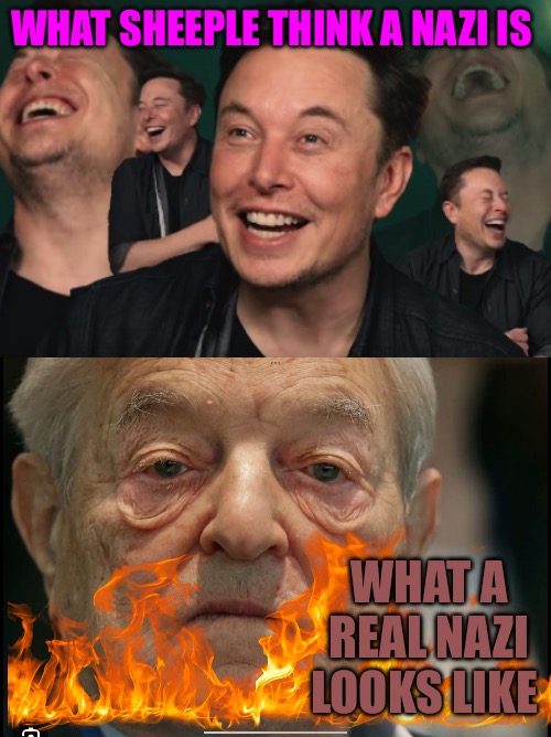 “Nazis” | WHAT SHEEPLE THINK A NAZI IS; WHAT A REAL NAZI LOOKS LIKE | image tagged in nazis,cucks,progressives,elon musk,political memes,political meme | made w/ Imgflip meme maker