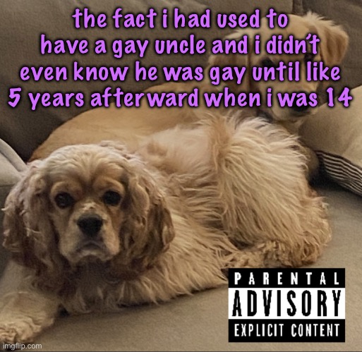 Gnocchi and Henry’s first studio album | the fact i had used to have a gay uncle and i didn’t even know he was gay until like 5 years afterward when i was 14 | image tagged in gnocchi and henry s first studio album,cinnabox announcement | made w/ Imgflip meme maker