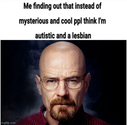 I understand it now | image tagged in autistic,lesbian,cool,mysterious,walter white | made w/ Imgflip meme maker