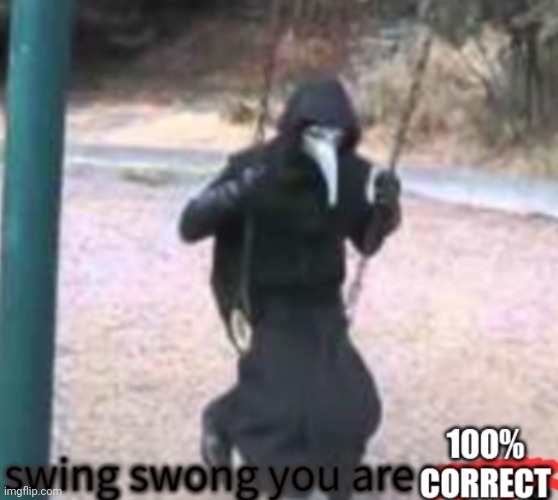 Swing swong you are 100% correct | image tagged in swing swong you are 100 correct | made w/ Imgflip meme maker