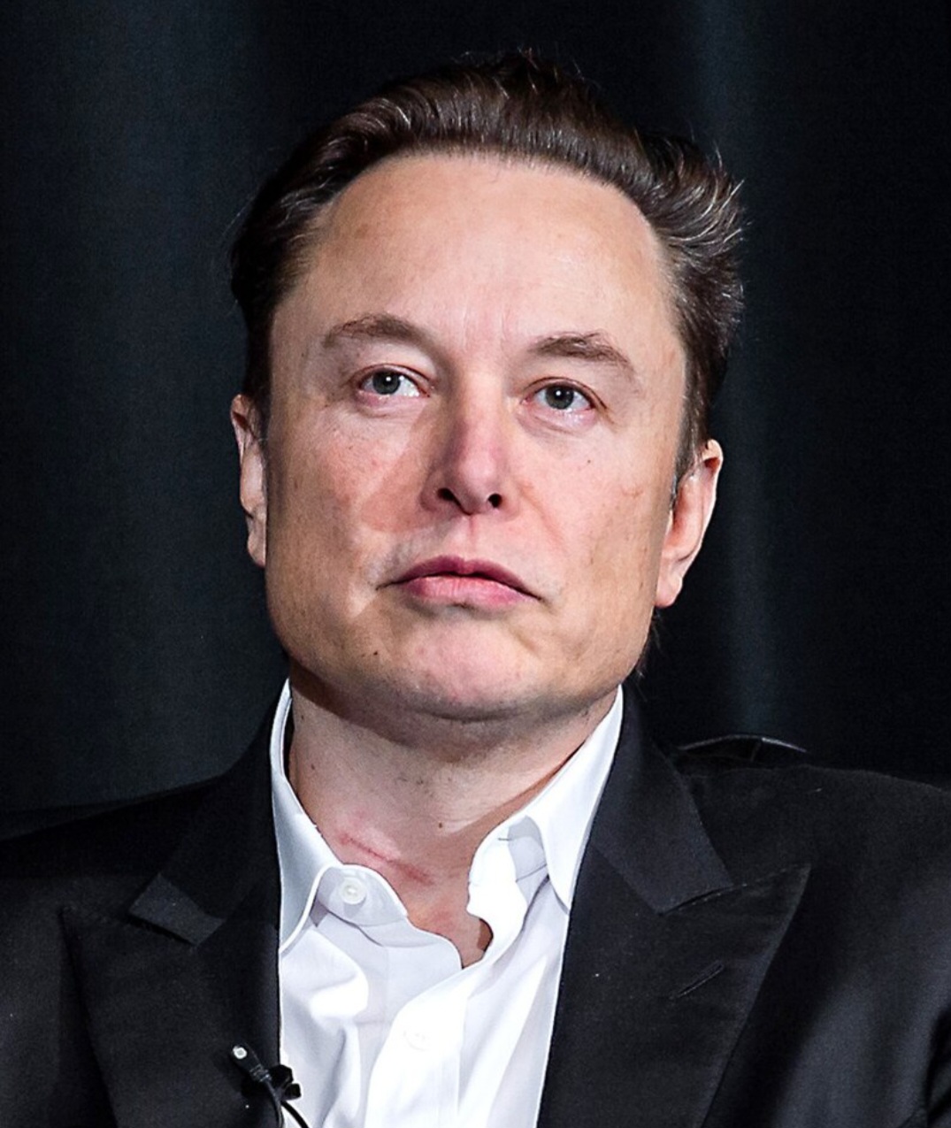 High Quality Felon Musk Blank Meme Template