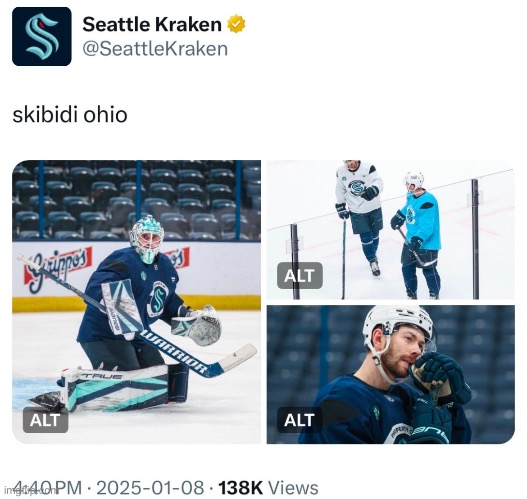 What are the seattle kraken on about bruh | image tagged in gifs,memes,funny,shitpost,nhl,msmg | made w/ Imgflip meme maker