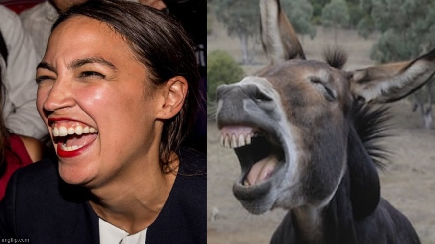 AOC DONKEY | image tagged in aoc donkey | made w/ Imgflip meme maker