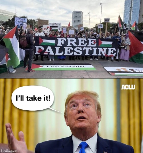 They did say Free Palestine | image tagged in funny meme | made w/ Imgflip meme maker