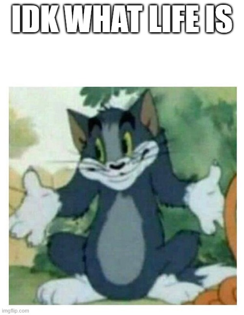 IDK Tom Template | IDK WHAT LIFE IS | image tagged in idk tom template | made w/ Imgflip meme maker