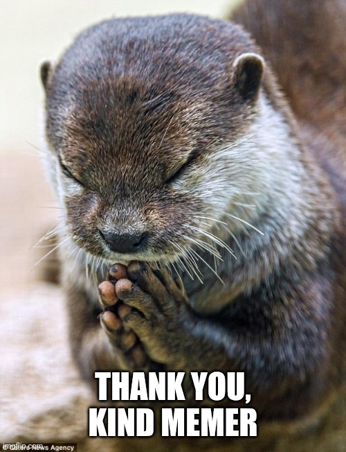 Thank you Lord Otter | THANK YOU, KIND MEMER | image tagged in thank you lord otter | made w/ Imgflip meme maker