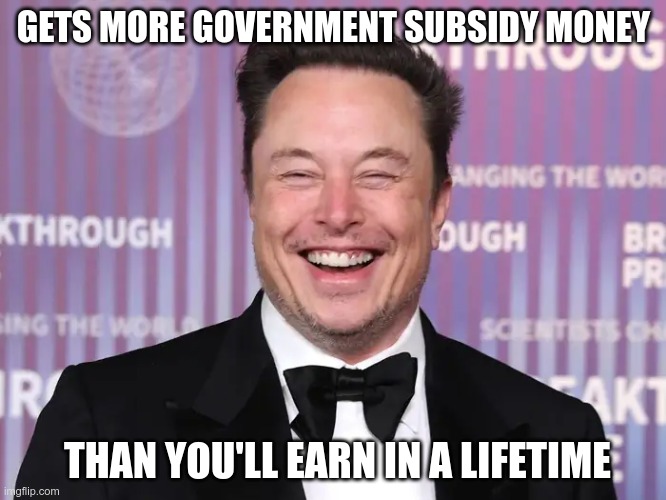 Welfare Queen | GETS MORE GOVERNMENT SUBSIDY MONEY; THAN YOU'LL EARN IN A LIFETIME | image tagged in musk,subsidy money,maga,fascist,nazi,welfare queen | made w/ Imgflip meme maker