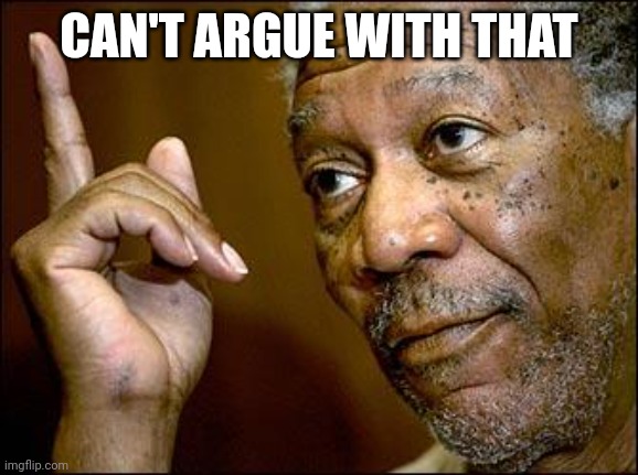 This Morgan Freeman | CAN'T ARGUE WITH THAT | image tagged in this morgan freeman | made w/ Imgflip meme maker