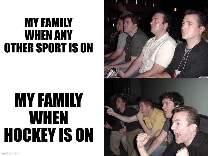 Reaction Guys | MY FAMILY WHEN ANY OTHER SPORT IS ON; MY FAMILY WHEN HOCKEY IS ON | image tagged in reaction guys | made w/ Imgflip meme maker