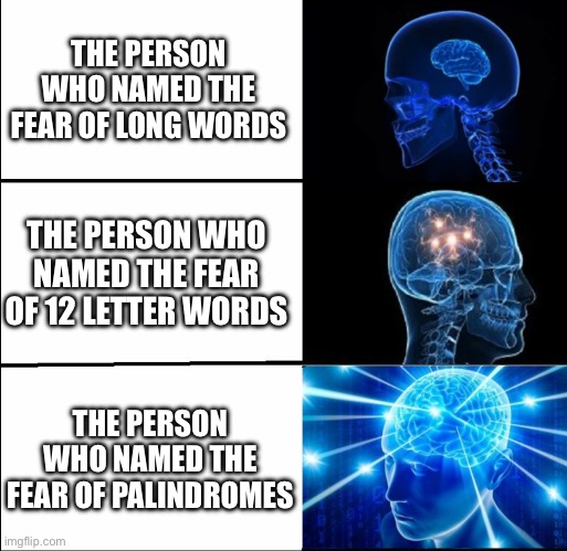 whoever thought of these phobia names are genius | THE PERSON WHO NAMED THE FEAR OF LONG WORDS; THE PERSON WHO NAMED THE FEAR OF 12 LETTER WORDS; THE PERSON WHO NAMED THE FEAR OF PALINDROMES | image tagged in galaxy brain 3 brains,phobia,memes,funny,genius,yeah this is big brain time | made w/ Imgflip meme maker