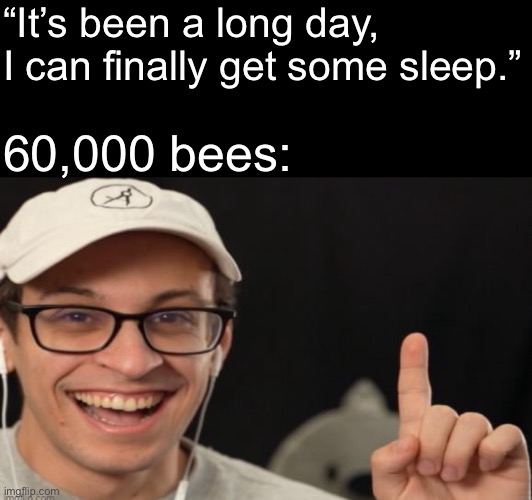 Not the 60,000 bees | “It’s been a long day, I can finally get some sleep.”; 60,000 bees: | made w/ Imgflip meme maker