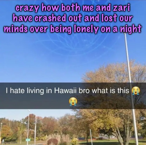 still lonely btw just not lose my mind worthy | crazy how both me and zari have crashed out and lost our minds over being lonely on a night | image tagged in i hate living in hawaii bro what is this,cinnabox announcement | made w/ Imgflip meme maker