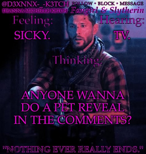 Someone's Probably Already Done This | SICKY. TV. ANYONE WANNA DO A PET REVEAL IN THE COMMENTS? | image tagged in d3xnnx k3tch extra,but idgaf,kitty wont let me take a decent image,shes adorable though,mischeivous and adorable,pet reveal | made w/ Imgflip meme maker