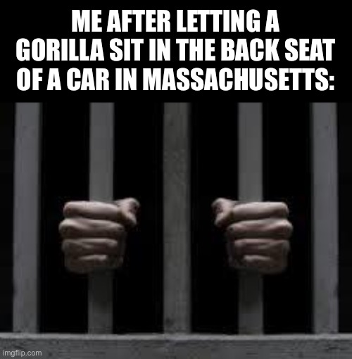 Jail | ME AFTER LETTING A GORILLA SIT IN THE BACK SEAT OF A CAR IN MASSACHUSETTS: | made w/ Imgflip meme maker