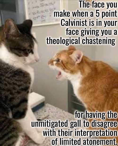 Theological Chastening | The face you make when a 5 point Calvinist is in your face giving you a theological chastening; for having the unmitigated gall to disagree with their interpretation of limited atonement. | image tagged in calvinism,arminian,molinism,reformed theology 5 point calvinists,abusive legalistic smug condescending,ai marionette | made w/ Imgflip meme maker