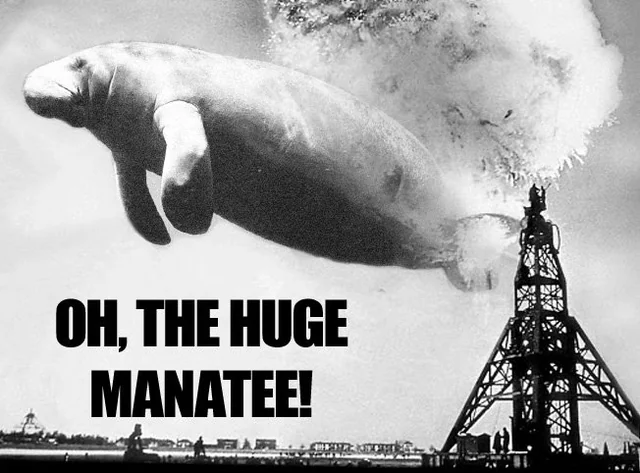 Huge Manatee Blank Meme Template