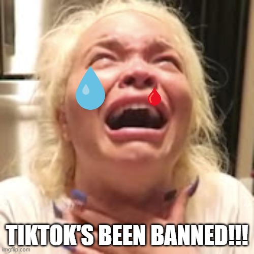 TikTok Ban | TIKTOK'S BEEN BANNED!!! | image tagged in tiktok,tiktok sucks,young people | made w/ Imgflip meme maker