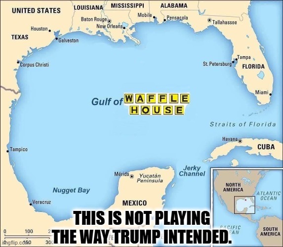 Google Maps is struggling to keep up. | THIS IS NOT PLAYING THE WAY TRUMP INTENDED. | image tagged in trump,gulf of mexico,name,change,disaster | made w/ Imgflip meme maker