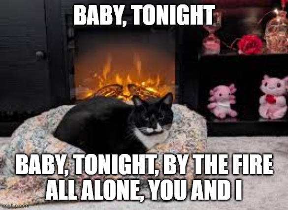 BABY, TONIGHT BABY, TONIGHT, BY THE FIRE
ALL ALONE, YOU AND I | made w/ Imgflip meme maker