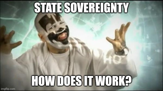 Insane Clown Posse | STATE SOVEREIGNTY HOW DOES IT WORK? | image tagged in insane clown posse | made w/ Imgflip meme maker