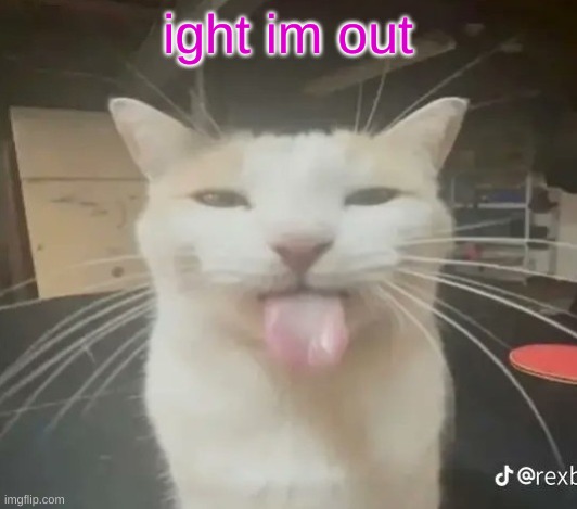 Blehhhh | ight im out | image tagged in blehhhh | made w/ Imgflip meme maker