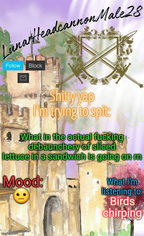 Just woke up from a nap | What in the actual fucking debaunchery of sliced lettuce in a sandwich is going on rn; 😐; Birds chirping | image tagged in lunarheadcanonmale28's announcement template thanks disco,msmg,memes | made w/ Imgflip meme maker