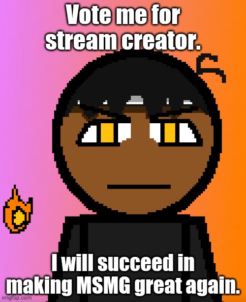 Make MSMG Great Again | Vote me for stream creator. I will succeed in making MSMG great again. | image tagged in carl chill | made w/ Imgflip meme maker