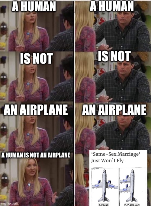 Some people just won’t get this | A HUMAN; A HUMAN; IS NOT; IS NOT; AN AIRPLANE; AN AIRPLANE; A HUMAN IS NOT AN AIRPLANE | image tagged in phoebe joey,homophobia,homosexual,gay marriage | made w/ Imgflip meme maker