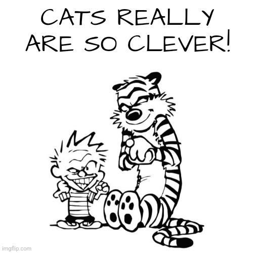 That's right | CATS REALLY ARE SO CLEVER! | image tagged in that's right | made w/ Imgflip meme maker