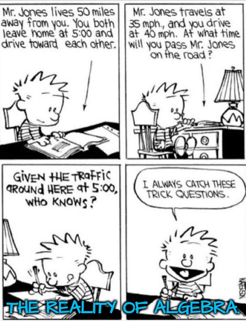 When Math Doesn't Pertain to Real Life | THE REALITY OF ALGEBRA. | image tagged in math,calvin and hobbes | made w/ Imgflip meme maker