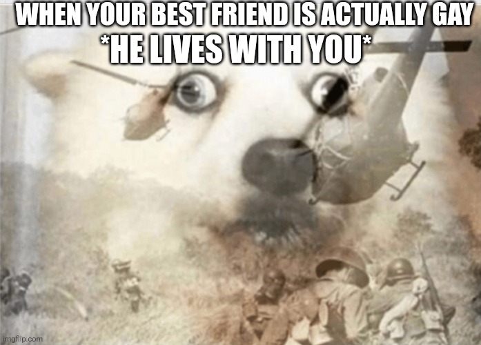 Hm | WHEN YOUR BEST FRIEND IS ACTUALLY GAY; *HE LIVES WITH YOU* | image tagged in ptsd dog | made w/ Imgflip meme maker