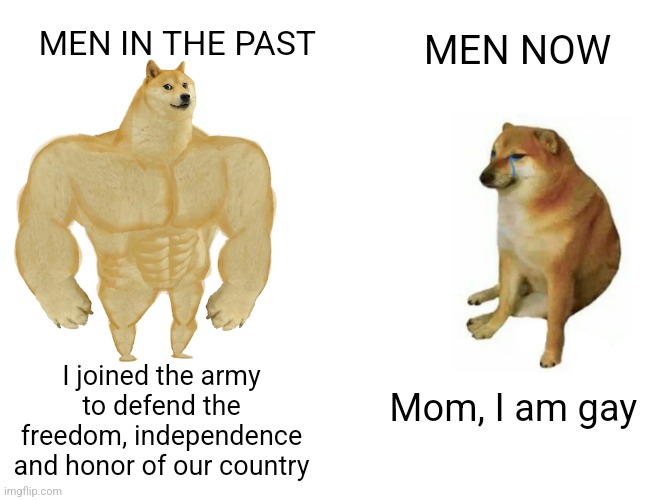 Buff Doge vs. Cheems | MEN IN THE PAST; MEN NOW; I joined the army to defend the freedom, independence and honor of our country; Mom, I am gay | image tagged in memes,buff doge vs cheems | made w/ Imgflip meme maker