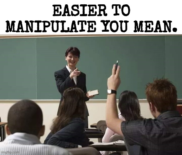 School | EASIER TO MANIPULATE YOU MEAN. | image tagged in school | made w/ Imgflip meme maker