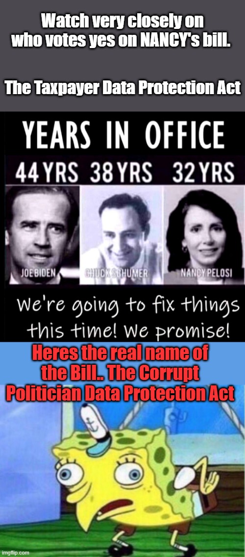 Don't be fooled the DEMs have never been concerned about protecting you, but their walletts thats a different story. | Watch very closely on who votes yes on NANCY's bill. The Taxpayer Data Protection Act; Heres the real name of the Bill.. The Corrupt Politician Data Protection Act | image tagged in memes,mocking spongebob | made w/ Imgflip meme maker