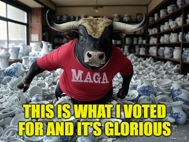 Trumps cabinet going full bull in a china shop | THIS IS WHAT I VOTED FOR AND IT'S GLORIOUS | image tagged in maga,jeffrey epstein,fraud,doge,irs,usaid | made w/ Imgflip meme maker