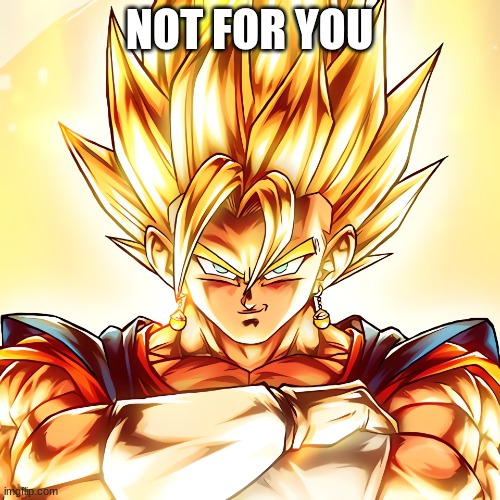 Vegito stanced tf up | NOT FOR YOU | image tagged in vegito stanced tf up | made w/ Imgflip meme maker