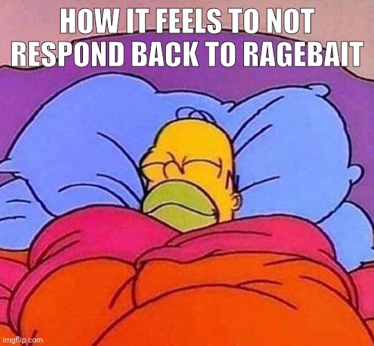 What a wonderful day | HOW IT FEELS TO NOT RESPOND BACK TO RAGEBAIT | image tagged in homer simpson sleeping peacefully | made w/ Imgflip meme maker