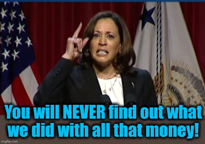 Kamala Angry | You will NEVER find out what
we did with all that money! | image tagged in kamala angry | made w/ Imgflip meme maker