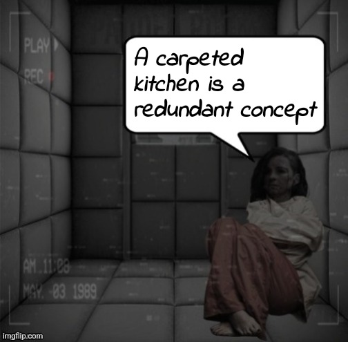 Something  something, skibidi toilet...... | A carpeted kitchen is a redundant concept | image tagged in padded cell | made w/ Imgflip meme maker